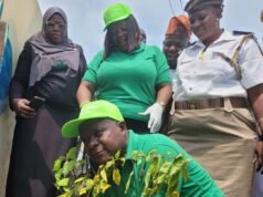 Akinsanya, Famuyiwa sensitize residents on tree planting benefits