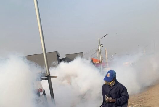 Public Health: Mosan-Okunola LCDA fumigates major markets