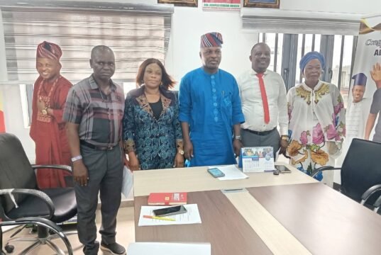 Alimosho chairman sets up committee for local govt health authority