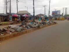 Ayobo-Ipaja’s Waste-to-Wealth Initiative and Sustainability Challenge