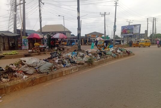 Ayobo-Ipaja’s Waste-to-Wealth Initiative and Sustainability Challenge