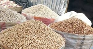 ArketData Launches Platform to Help Nigerians Track Food Prices
